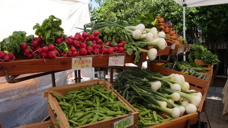 vegetables for sale at farmer's market